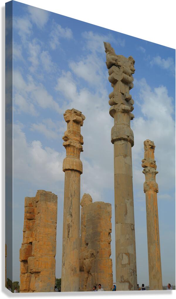 History                                Canvas Print