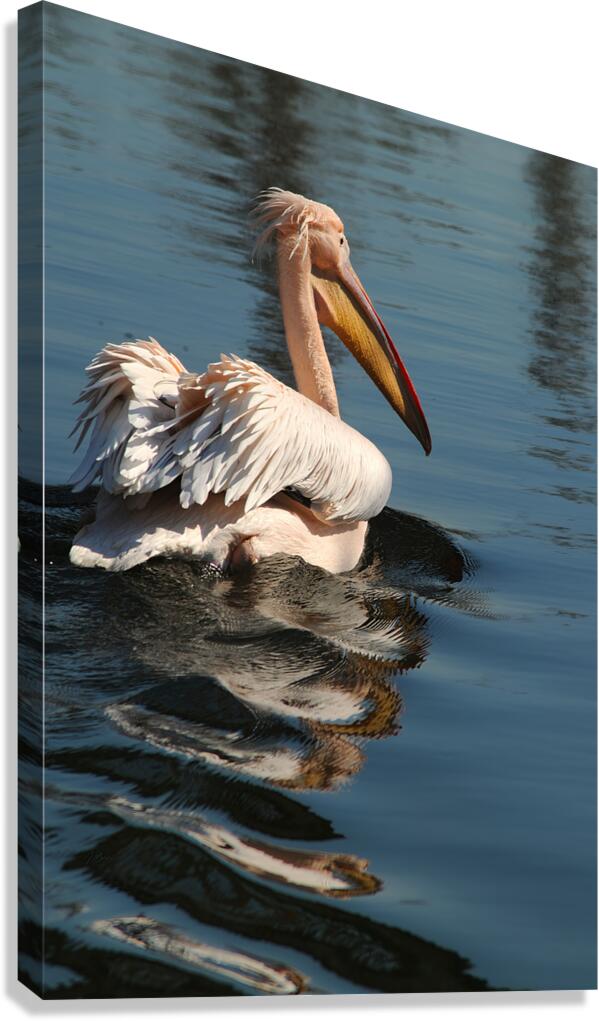 pelikan04 moreDetail x4 9544x14340 2pass photo.pn Canvas Print