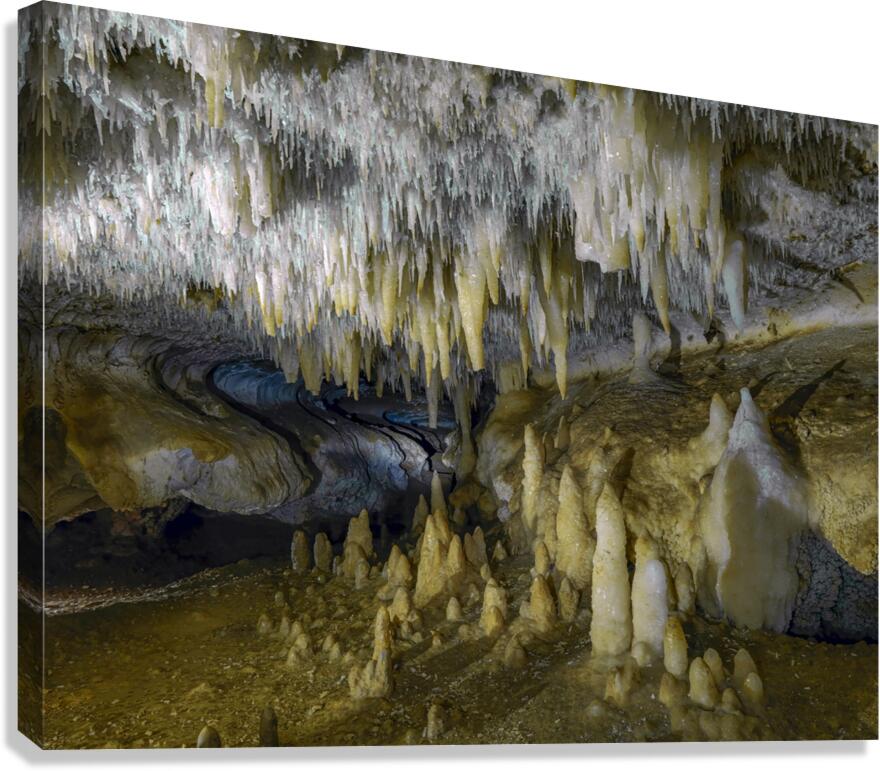 White Crown of Crystals Canvas Print