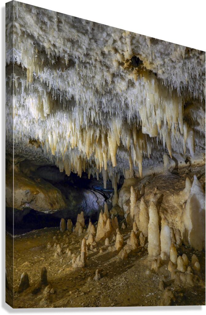 Whispers of the Earth Canvas Print