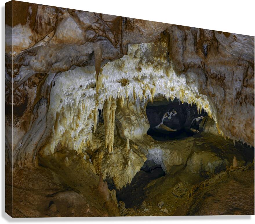 Gateway to Silence Canvas Print