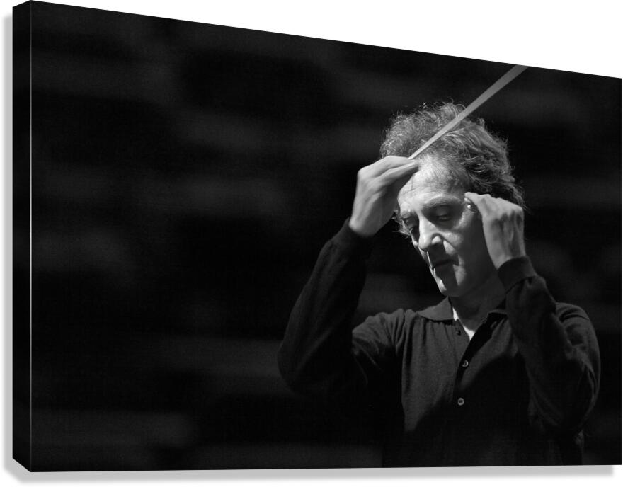 Rhythm of the Mind Canvas Print