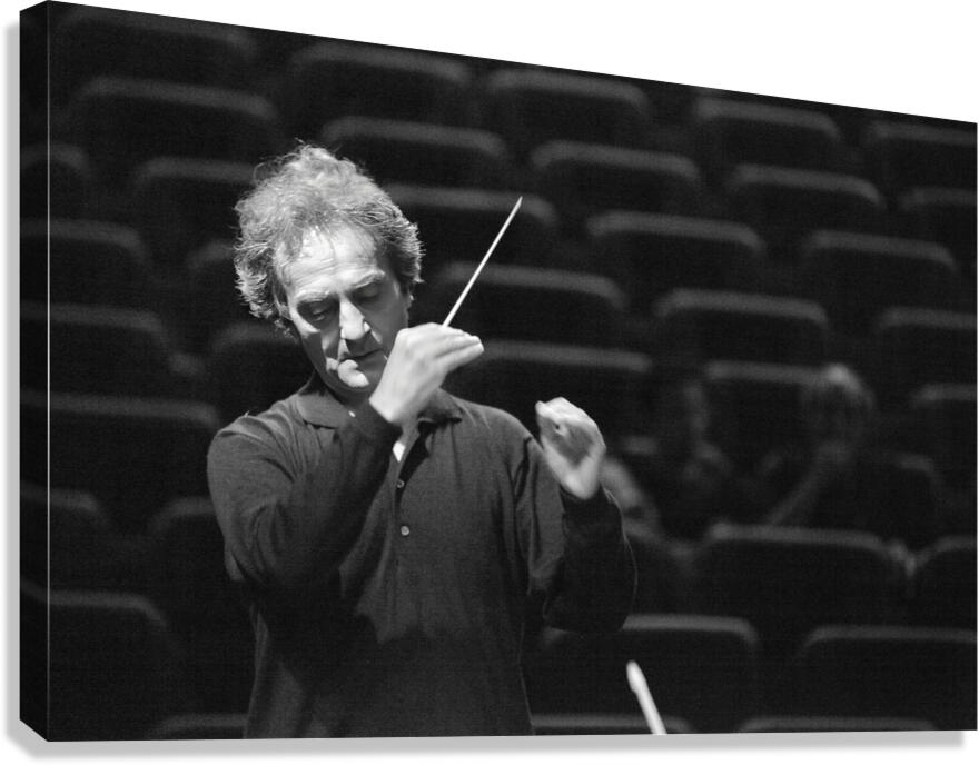 The Silent Symphony Canvas Print