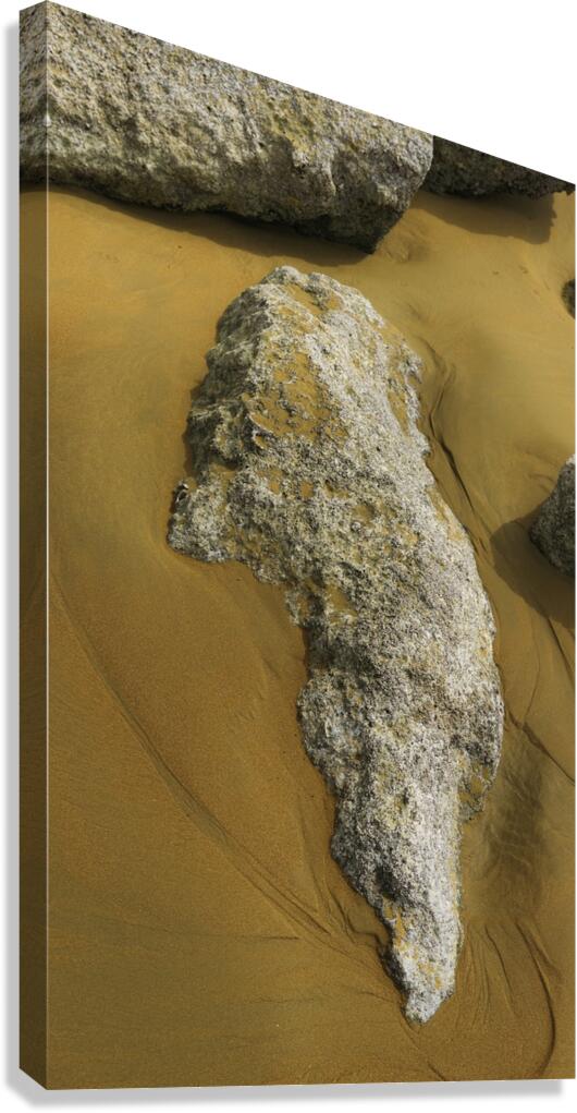 Shape of Time Canvas Print