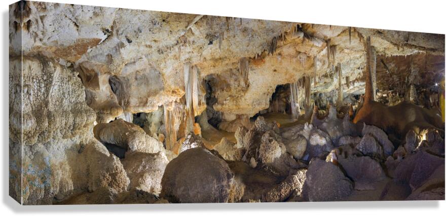 Stone Symphony Canvas Print