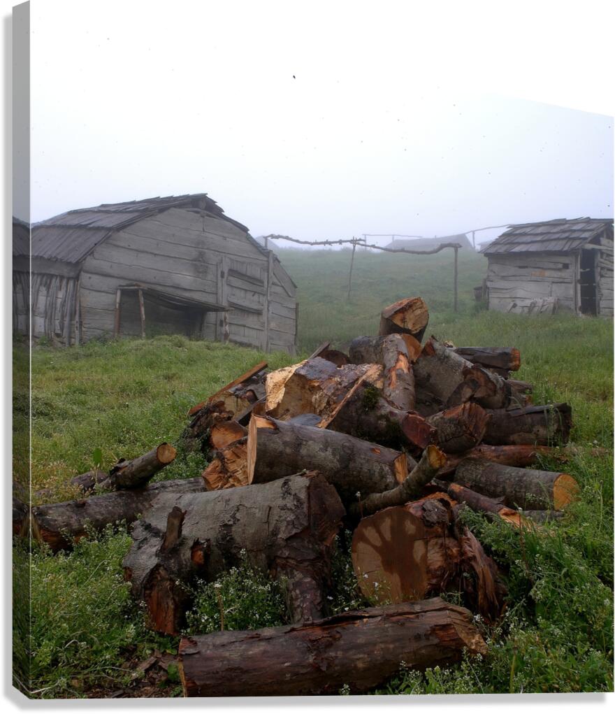 Whispers of the Highlands Canvas Print