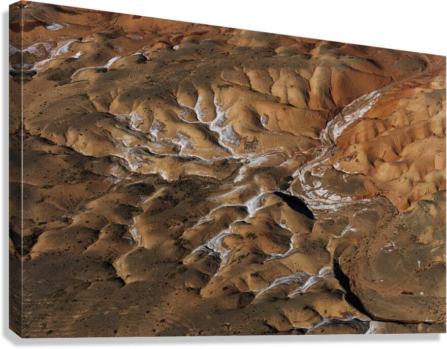 Veins of the Earth Canvas Print