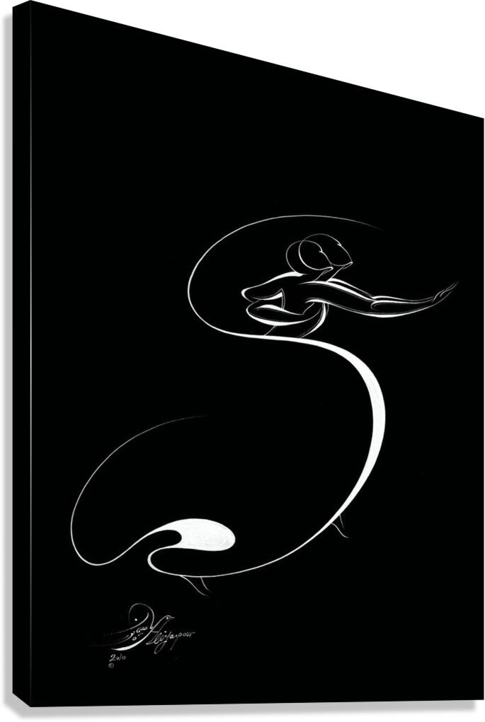 Flow of Grace Canvas Print