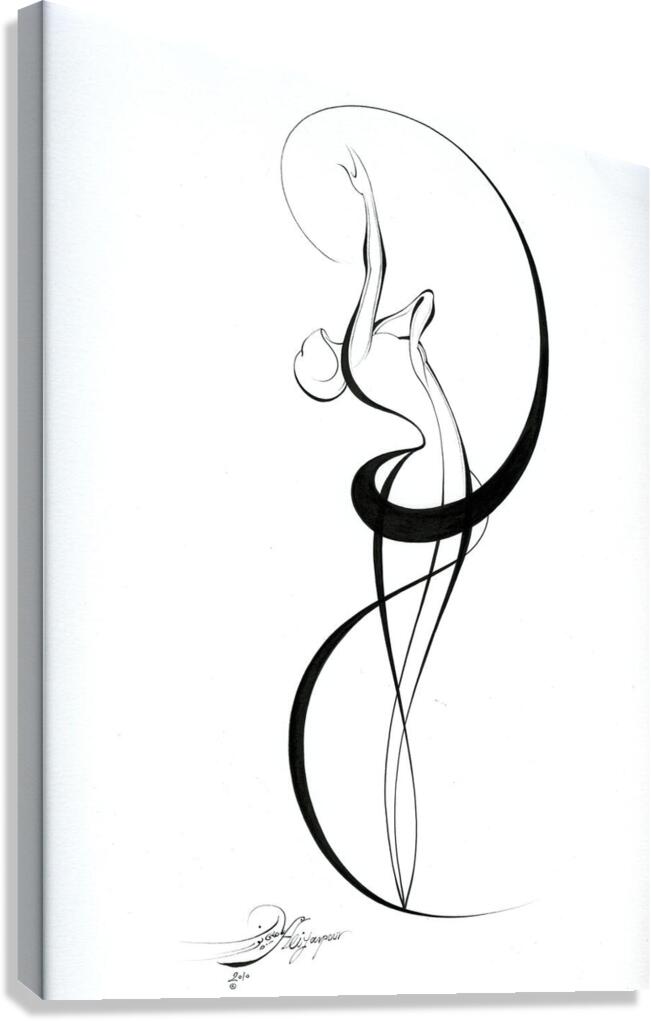 The Flow of Freedom Canvas Print