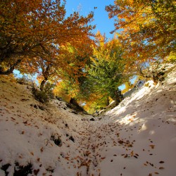 Nature’s Invitation