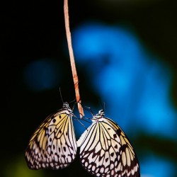 Together in Stillness