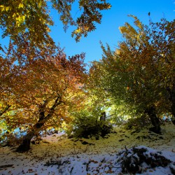 Autumn in Blue’s Embrace