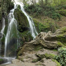 Whispers of the Waterfall