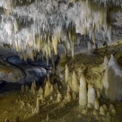 White Crown of Crystals