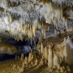 Whispers of the Earth