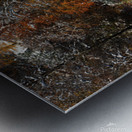 Autumn Meets Winter Metal print