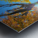 Dance of Light and Leaves Metal print