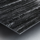 Silent Woods Metal print