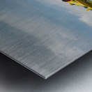 Runway Legends Metal print