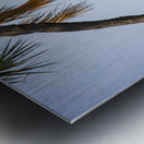 Silent Dominion Metal print