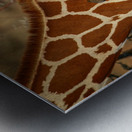 Symphony of Survival Metal print