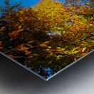 Window to the sky Metal print