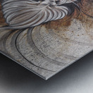 Eclipsed Grace Metal print