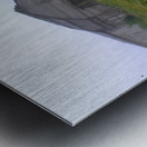 Silent Village Metal print