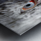 The Watchful Eye Metal print