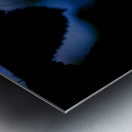 Whispers in the Dark Metal print