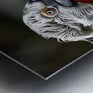 Portrait of a Pelican Metal print