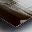 Silent Waters Metal print