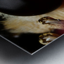 Eyes of the Microcosm Metal print