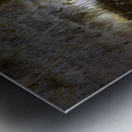 Cathedral of Time Metal print