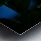 Whispers of Light  Metal print