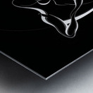 Harmony of Souls Metal print