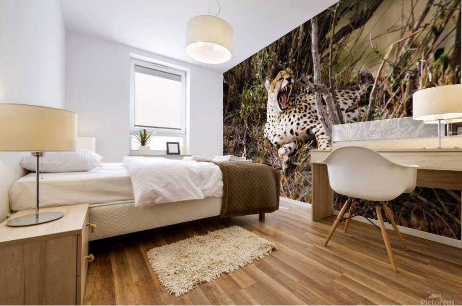 cheetah Africa Mural print
