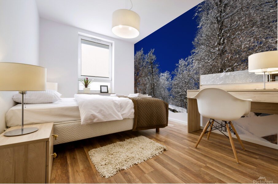  Silent White Mural print