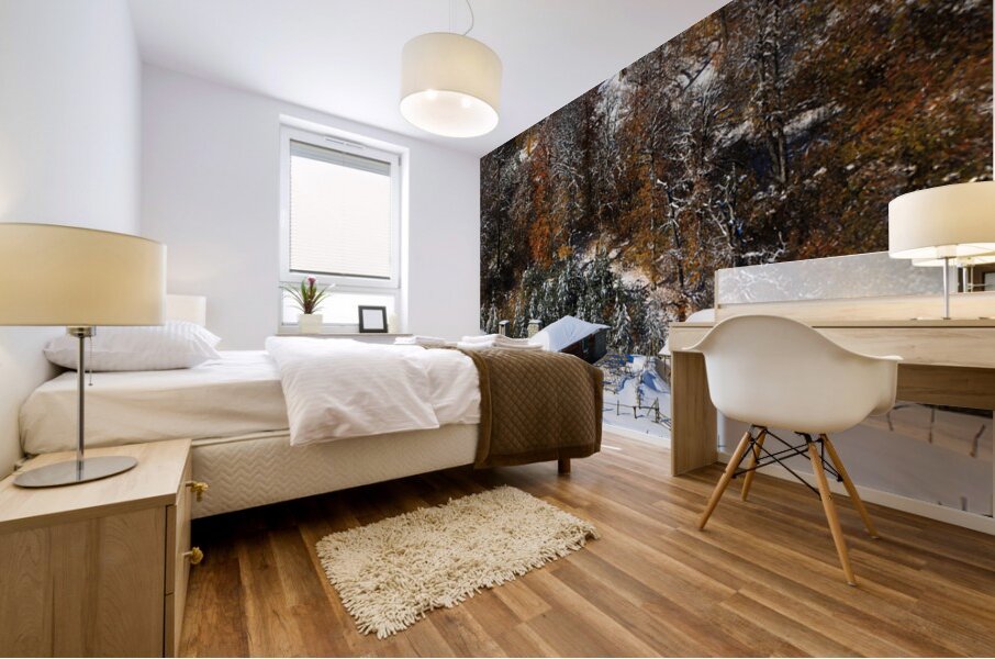 Autumn Behind the Snow Mural print