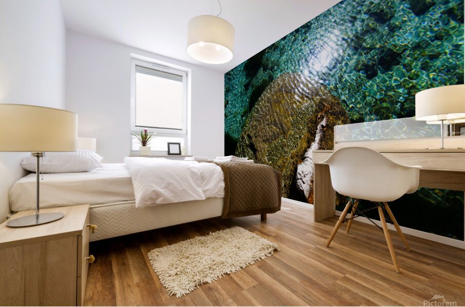 Living Stone Mural print