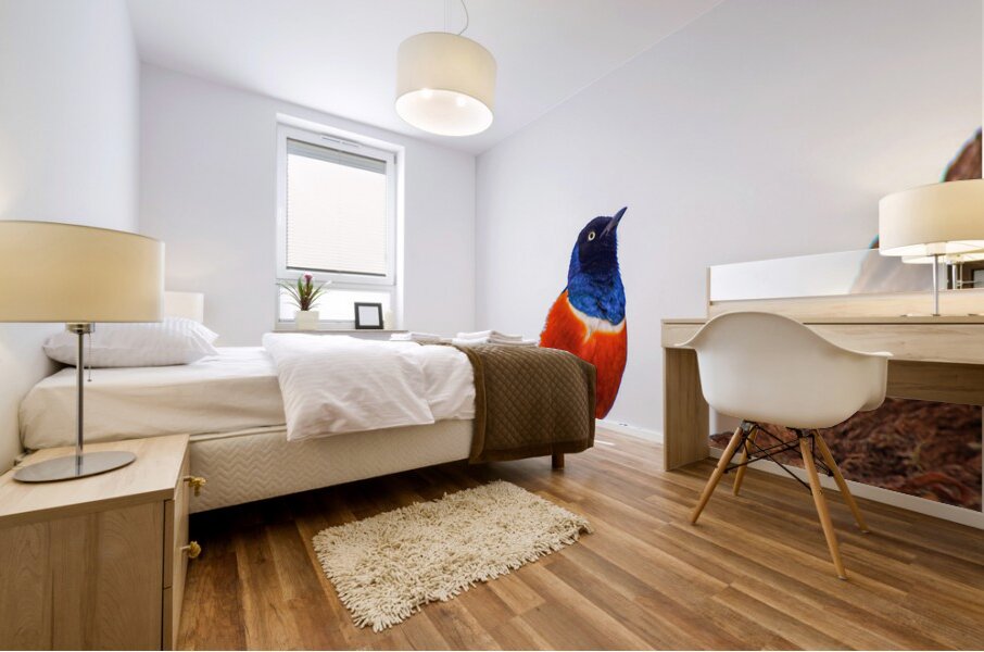 Feathered Jewel Mural print