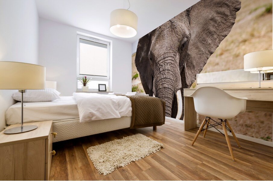 Timeless Strength Mural print