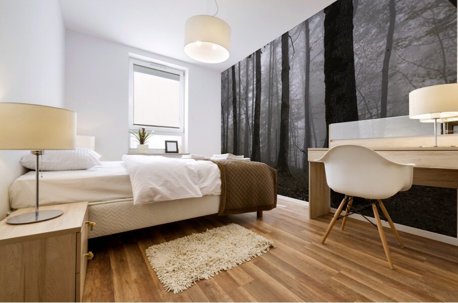 Whispers of the Fog Mural print