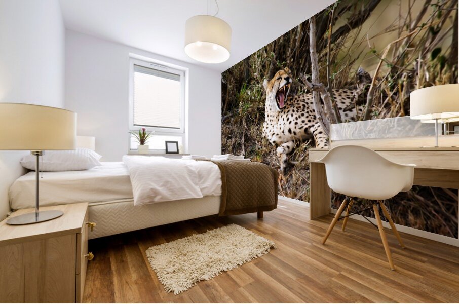 Majestic Yawn Mural print