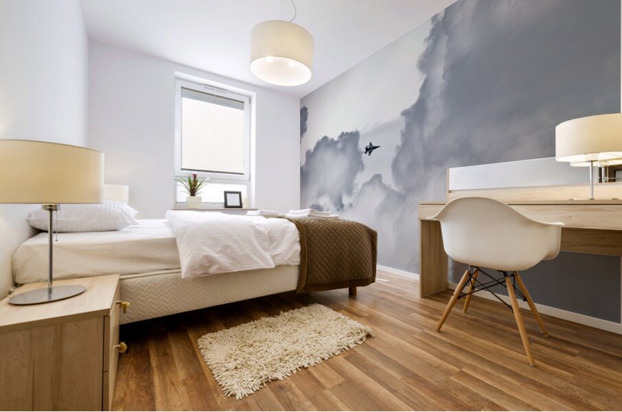 FA-18 1180 Mural print