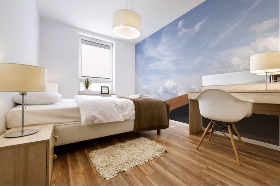 DESERT IRAN Mural print