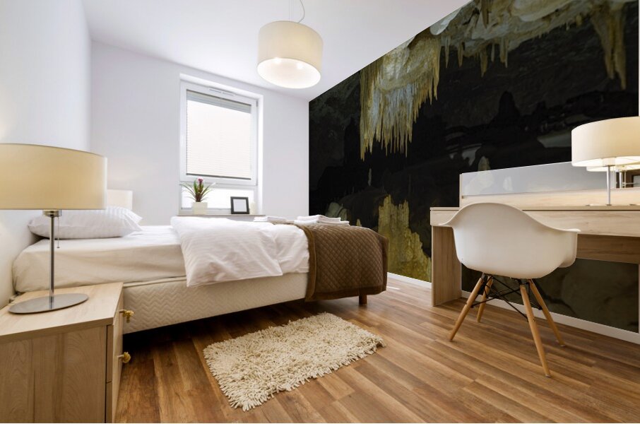 Frozen Symphony – Cave Wonders Mural print