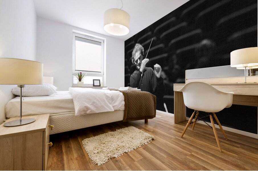 The Silent Symphony Mural print