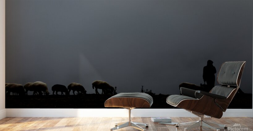 Tranquility Wall Murals