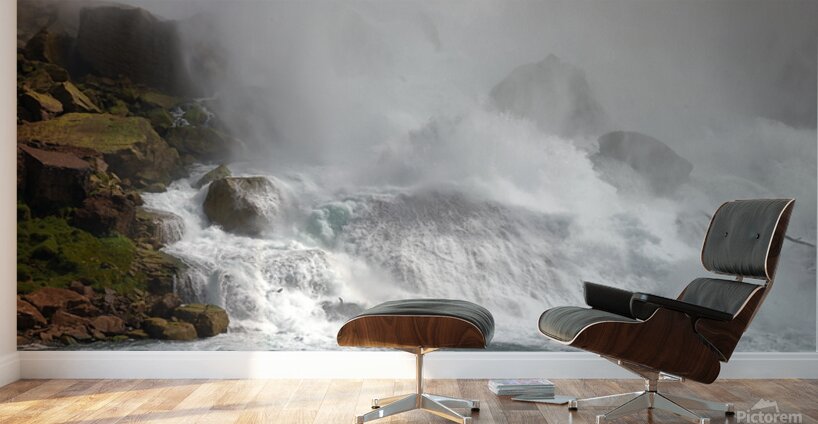 The Roar of Nature Wall Murals